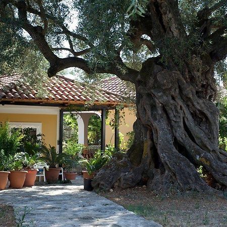 Villa Christina Закинтос Экстерьер фото