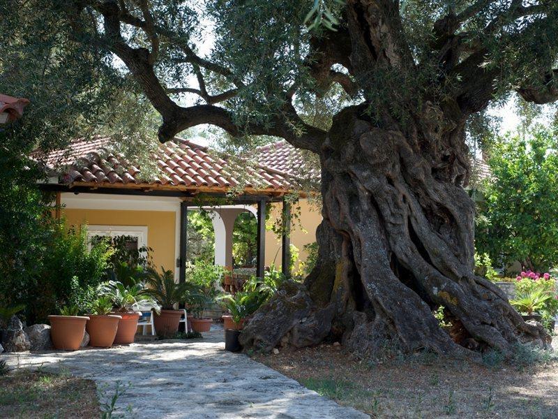 Villa Christina Закинтос Экстерьер фото